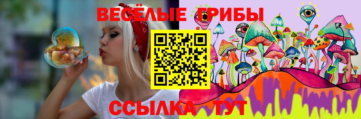 Псилоцибиновые грибы Cubensis  Вход с VPN  Тольятти 